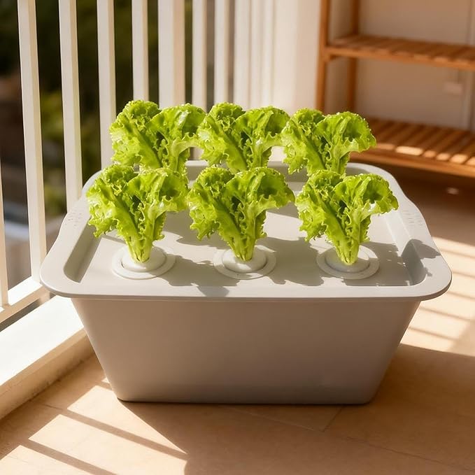 Hydroponic System Growing Box Indoor Gardening System Garden Planter Self Watering Soilless Cultivation for