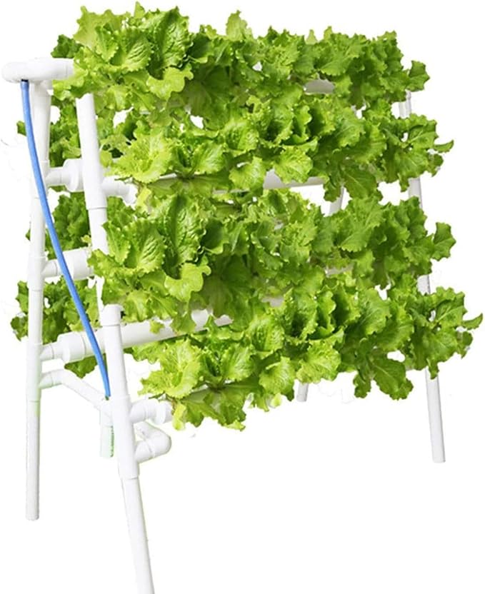 Hydroponic Garden Planting Kit Soilless Cultivation Suitable for Hydroponic Garden Plants of Leafy Vegetables