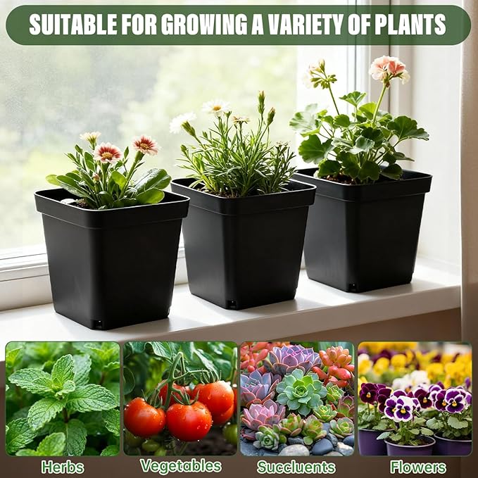 BTPLASTIK Square Nursery Pots 5.5 Inch 50Pcs Plastic Sturdy Reusable Seedling Pots with Drainage Holes Garden Flower Planters for Indoor/Outdoor Transplanting Succulents Cuttings Black