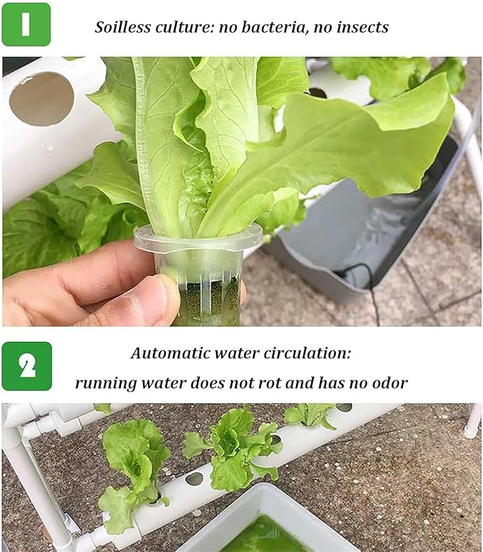 Hydroponics Growing Systems Kit Hydroponics Growing KitsVegetables Hydroponic Grow Kit