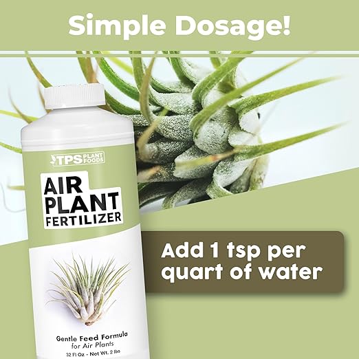 Air Plant Fertilizer – Concentrated Liquid- Soak or Spray Feeding - Plant Food for All Tillandsia (8 oz)