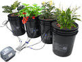 4-Bucket Hydroponic Growing System Indoor/Outdoor Soilless Plant Kit with Deep Water Farming Drip Irrigation Air Pump for Vegetables Fruits and Flowers
