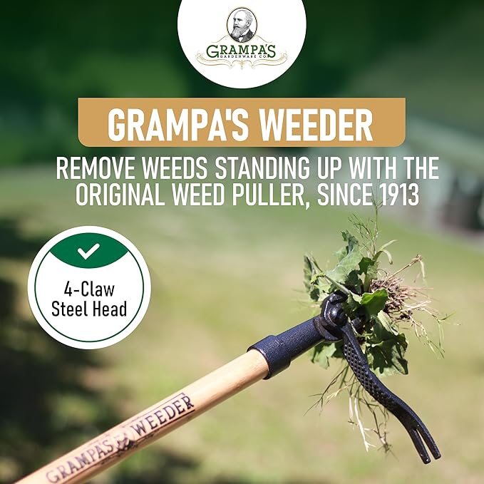 Grampa's Weeder - The Original Stand Up Weed Puller Tool with Long Handle - Made with Real Bamboo &amp 4-Claw Steel Head Design - Easily Remove Weeds Without Bending Pulling or Kneeling.