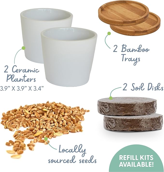 The Cat Ladies Cat Grass Growing kit with Organic Cat Grass Seed Soil and Two Ceramic Planters with Bamboo Trays Natural Hairball Remedy