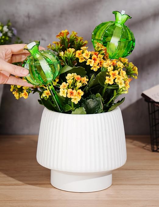 NiHome Cactus-Shaped Glass Plant Self-Watering Globes 6-Pack Glass Waterer Stakes for Potted Plants Automatic Mini Irrigation System Adorable Gardening Tool (Green 3 Large + 3 Medium)