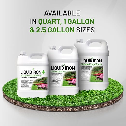 Covington Chelated Liquid Iron Concentrate (2.5 Gallon) Lawn &amp Garden Liquid Iron &amp Nitrogen Supplement for Plants Shrubs &amp Trees Treats Deficiency Discoloration Stunted Growth &amp R
