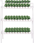 Hydroponic Growing System - Hydroponic Kit | Soilless Cultivation Grow Box Garden Cabinet Box Indoor Planting Kit for Fruits Vegetables