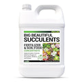 Covington Succulent Fertilizer Liquid (1 Gallon) – Cactus &amp Succulent Plant Food for Indoor and Outdoor Use – Slow Release Liquid Fertilizer for Houseplants – Made in USA