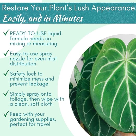 Houseplant Leaf Shine Spray – All-Natural Leaf Cleaner and Gloss for Healthy Shine &amp Better Photosynthesis | Perfect for House Plants and Foliage | 8 oz