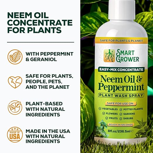 Neem Oil Spray for Plants with Peppermint Oil – for Indoor &amp Outdoor Plants Gardens &amp Houseplants– Best Value Refill 8 oz Concentrate Makes 1 Gallon RTU