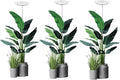 yadoker Plant Grow LightLED Growing Light Full Spectrum for Indoor PlantsAluminum Black Plant LightsHeight Adjustable Automatic Timer 5V Low Safe Voltage