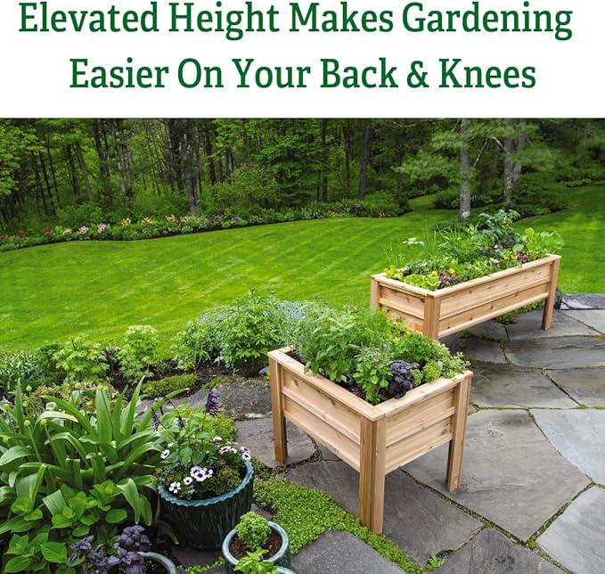 Gardener's Supply Company | Craftsbury Cedar Wood Elevated Raised Garden Bed 2ft x 3ft | Planter for Outdoor Vegetables Flowers Herbs for Small Space Urban Gardening Deck Patio Lawn