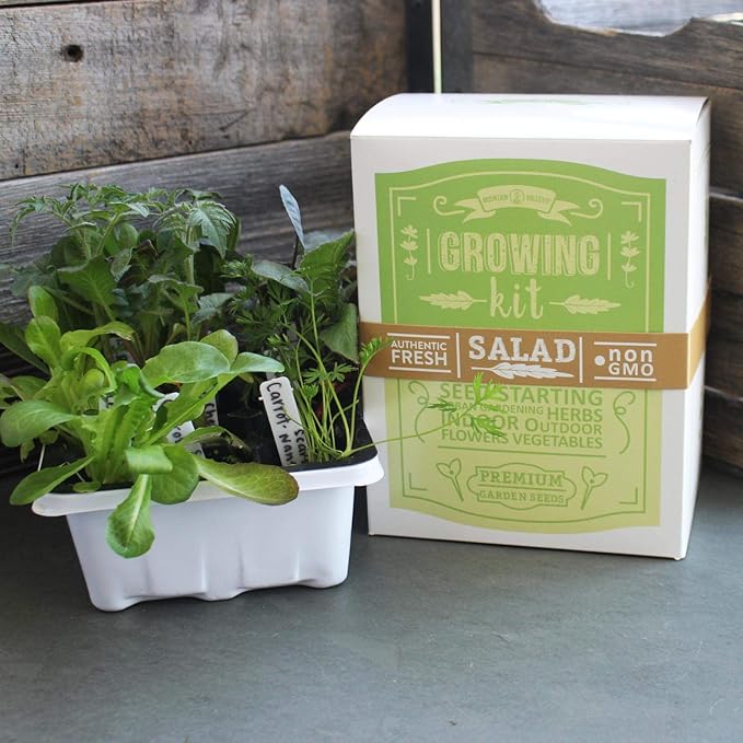 Mexican Salsa &amp Hot Sauce Making Kit | Basic | 6 Non-GMO Seed Varieties | Mexican Seeds for Salsa Hot Sauce Pico De Gallo | Includes Jalapeno Pepper Tomato Cilantro Herb Chives Onion More