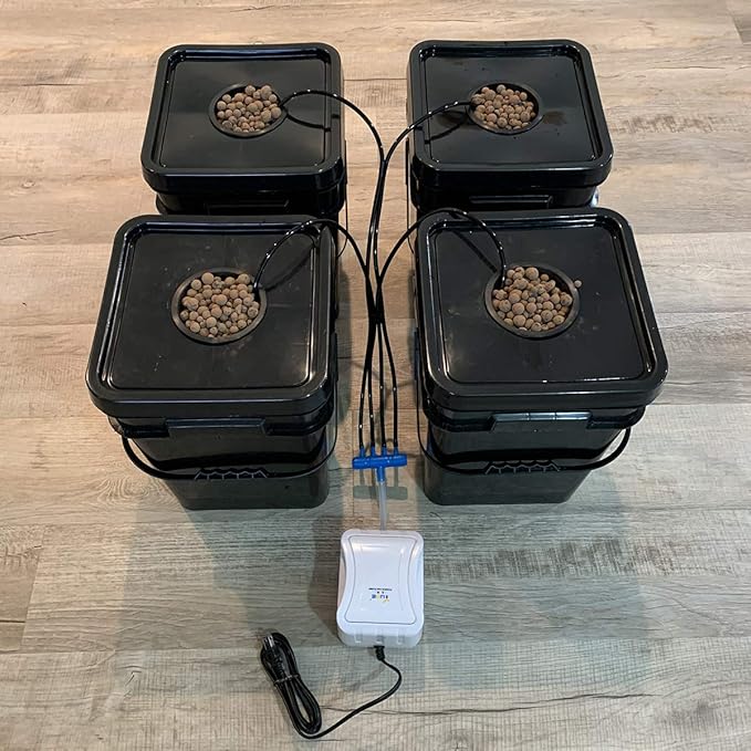 Deep Water Culture DWC Hydroponic Bubbler Buckets 5 Gallon 4 Site with Air Pump and Air Stones