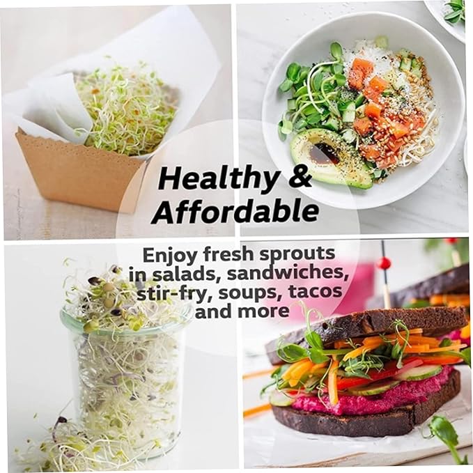 Sprouts Bean Sprouts Grow Kit Air Circulation and Drainage Multipurpose Growing Kit with 2 Bottles for Beans Alfalfa Seeds Modern Sprout