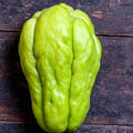 Chayote Squash Plant Live Chayote Plant Gallon Pot Vegetable Plant for Gardening Indoor Outdoor 7 to 9 Inc Tall