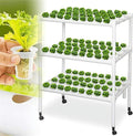 3 Layers 108 Holes Hydroponic Growing System Hydroponic Grow Kit with Water Pump Pulley Foot Water Culture Plant Growing System for Leafy Vegetables