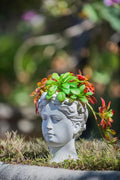 Cement Head Planter Indoor Outdoor Home GDecor D6 x 9