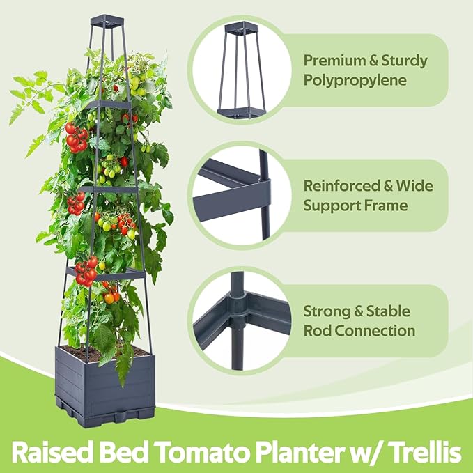 2 Pack Tomato Planter Box with Trellis for Climbing Plants Outdoor - Self Watering Raised Garden Bed Tomato Pot - 55 Tomato Cage Garden Trellis Plant Support for Vine Vegetables Herbs Flowers Indoor