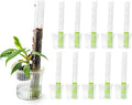 THICCLY Small GrowLid 10 Pcs (Clear) - Self Watering Clear D-Shaped Plastic Moss Pole Hydroponics Growing System Kratky Hydroponic Kit Moss Pole Monstera Plant Support Philodendron and Anthuriums
