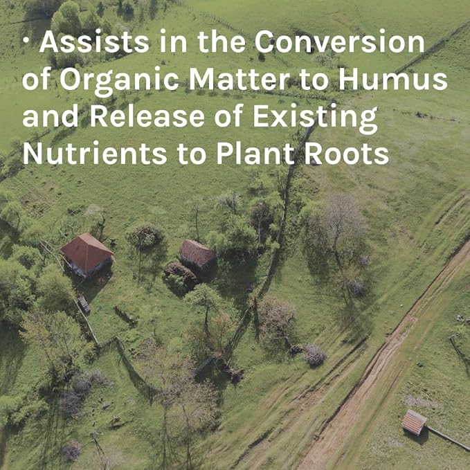 Planters ll | Trace Minerals to Support Healthy Plant Growth and Boost Microbial Life in The Soil | 40 lbs