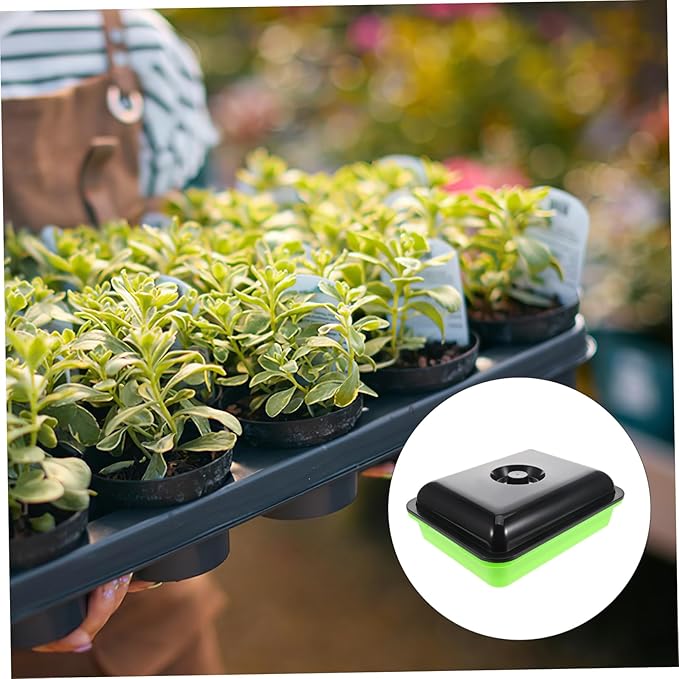 Sprout Trays Seedling Tray Sprouting Kit Plant Growth Plate Use Soilless Method for Small Spaces