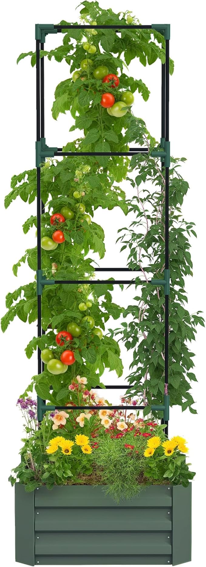 Outsunny Galvanized Raised Garden Bed 73.5 Tall Outdoor Planter Box with Trellis Tomato Cage and Open Bottom for Climbing Vines Vegetables Flowers in Backyard Garden Patio Green