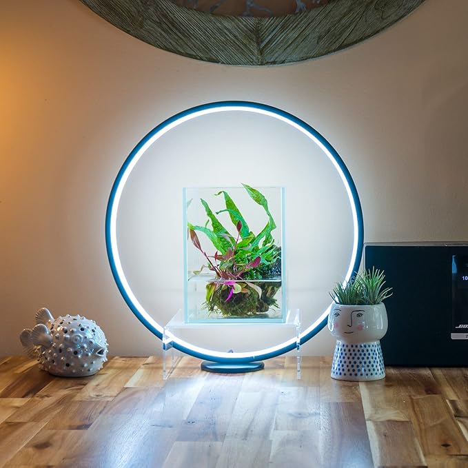 Circle Full Spectrum Plant Grow Light w/Display Stand for Terrarium Nano Fish Aquarium Bonsai Potted Plants. Gift for Mother's Day Gift for Plant Lover (11.8 in/30cm Diameter)