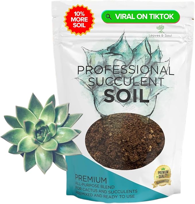 Extra Large 8.2 QT Bag Succulent Soil Premium All Purpose Blend | Pre-Mixed Ready to Use for Cactus and Succulents | Canadian Peat Course Sand Pinebark | Made in USA