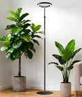 Grow Lights for Indoor Plants Full Spectrum LED Plant Light with Stand 67 Adjustable Height 3/9/12H Timer 10 Dimmable Levels &amp 3 Lighting Modes