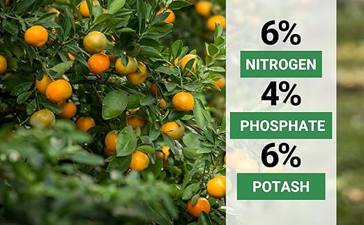 Avocado &amp Citrus Tree Fertilizer for Indoor &amp Outdoor Plants | Quick-Release Nitrogen - Citrus Fertilizer (3 Quarts)