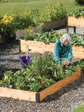 Gardener's Supply Company Cedar Raised Garden Bed 3x6 | Weather Resistant Outdoor Square Planter Box for Plants Herbs Flowers &amp Vegetables with Rust-Proof Aluminum Corners