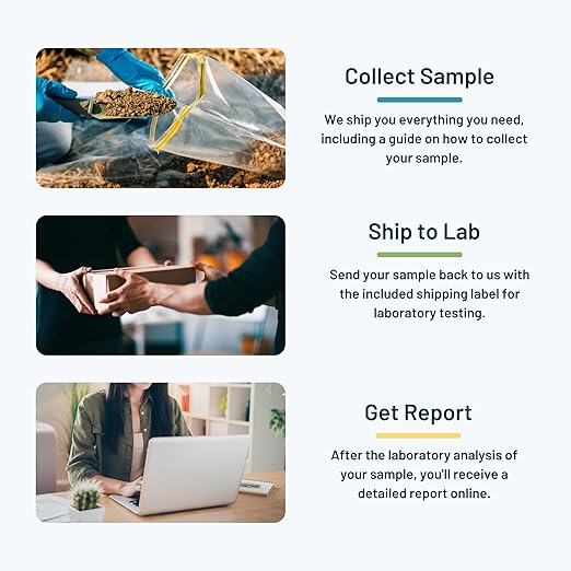 Essential Soil Test by SimpleLab | Soil Quality Tester for 5 parameters Like pH Organic Matter Nitrate Phosphorus and Potassium | Soil Testing Kit