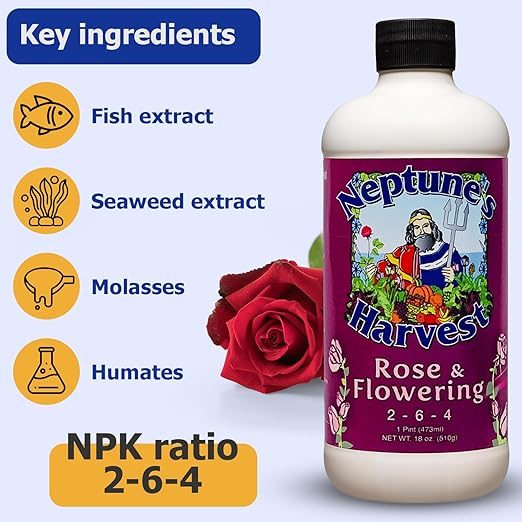 Neptune's Harvest Organic Plant Fertilizer | Liquid Fertilizer for Lawn Garden &amp Houseplant | Rich in Essential Nutrients | Tomato &amp Veg 2-4-2 (Pint) + Rose &amp Flowering Plant Food 2-6-4 (