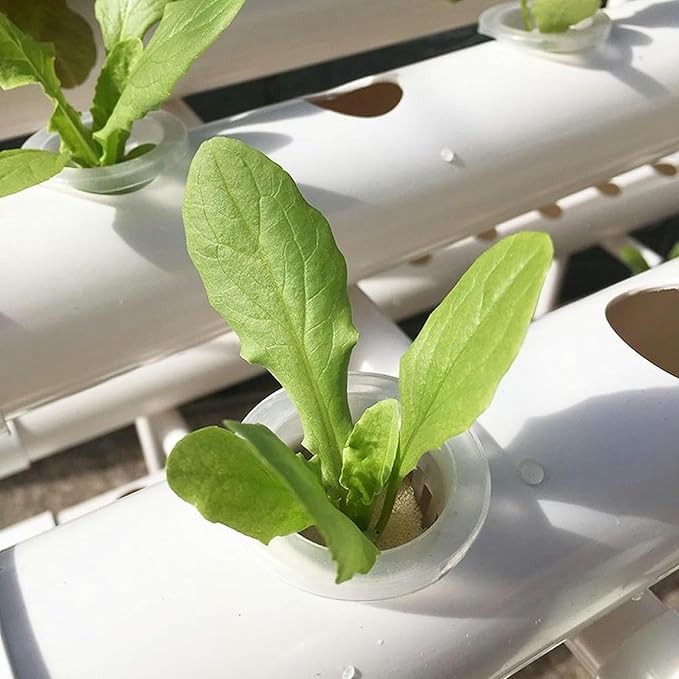 Hydroponics Growing SystemHydroponics Garden Large Indoor Herb Garden Kit Complete Herb Growing Set for Planting Lettuce Outdoor Hydroponic Planter