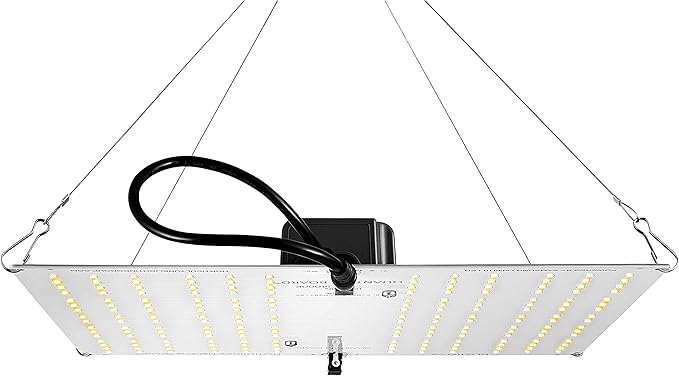Horticulture Lighting Group HLG 100 V2 4000K 95W LED Quantum Board Grow Light Veg &amp Bloom with High Efficiency Upgraded Version 2 Samsung LM301B Full Spectrum Growing Lights for Indoor Plants