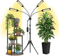 Plant Light for Indoor Plants Full Spectrum Indoor Grow Light with Timer (6 Units)