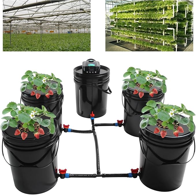 DWC Hydroponics System5.28 Gallon 5 Buckets Deep Water Culture Hydroponic Bucket Kit with Air Pump Recirculating Hydroponic System Grow Kit for Indoor Cultivating Tomatoes Peppers Vegetables Black