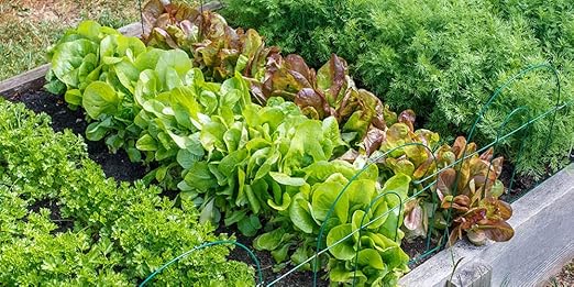 Organic Seedling Fertilizer 1 Gal CDFA Organic Registered. Plant Care Fertilizer for Vegetable Gardens Like Tomato Cucumber Beans Carrots and All Other Plants