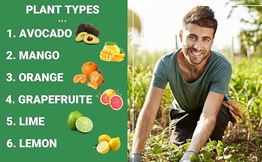 Avocado &amp Citrus Tree Fertilizer for Indoor &amp Outdoor Plants | Quick-Release Nitrogen - Citrus Fertilizer (3 Quarts)
