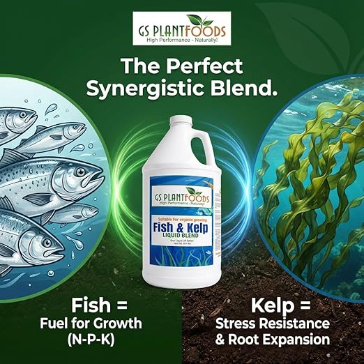 GS Plant Foods Liquid Fish &amp Kelp Fertilizer (55 Gallons) – Organic Material Review Institute Listed Natural Plant Food for Home Gardens and Vegetables