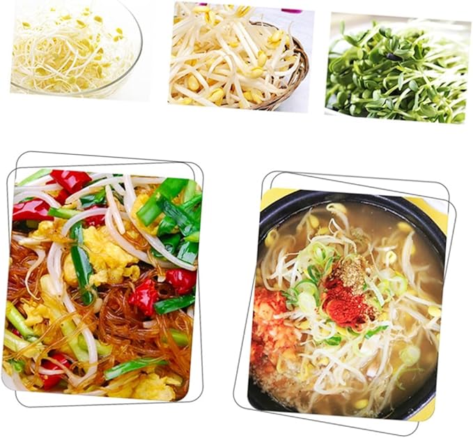 110v Microcomputer-Controlled Dual Sprouting Machine for Home Use Automatic Hydroponic Bean and Maker Temperature Control and Circulation System
