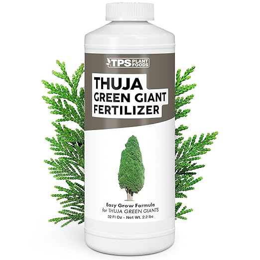 Thuja Green Giant Fertilizer – Liquid Plant Food for Faster Growth Fuller Green Foliage &amp Stronger Roots 32 oz