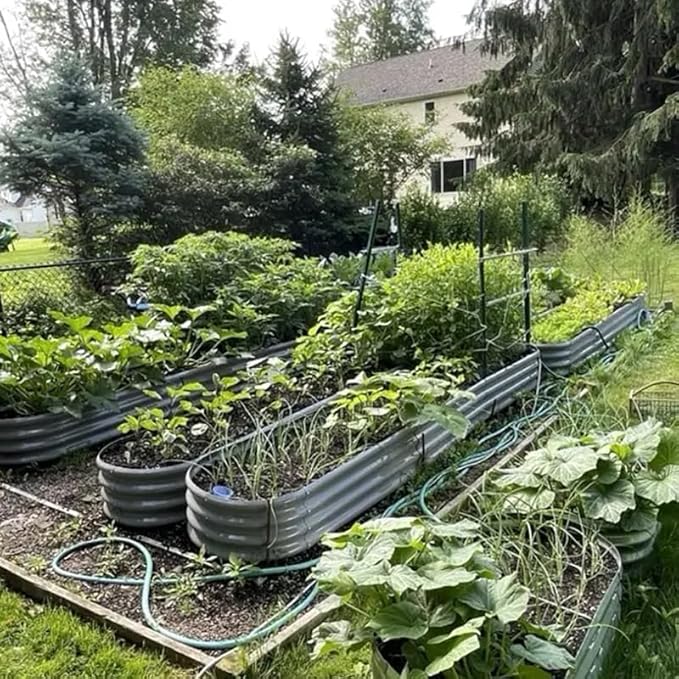6 Pack 12x2x1FT Galvanized Raised Garden Bed Kit Oval Metal Ground Planter Box Outdoor Bottomless Planter Raised Beds for Vegetables Flowers Herbs Fruits Gray