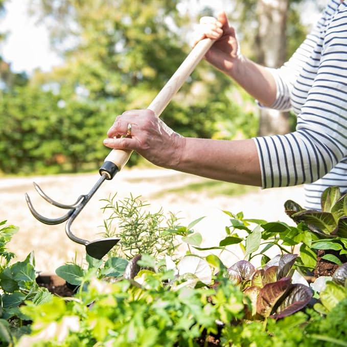 DeWit Gardener's Supply Company Lifetime Raised Bed Cultivator &amp Long-Handled Garden Hoe | High Carbon Boron Steel Gardening Tool - 18 Handle