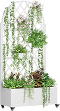 Raised Garden Beds Outdoor with Drainage Hole Metal Planter Box with Trellis Wheels Privacy Screen Trellis Planter for Climbing Plants Vegetable Vines (White)