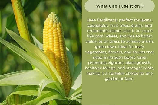 Old Cobblers Farm™ Wicked Growth High-Efficiency 46-0-0 Fertilizer - Urea - Fast-Acting Nitrogen Source for Lush Growth in Gardens &amp Farms -Soluble (5 lbs | 10 lbs | 15 lbs | 20 lbs) (5 lbs)