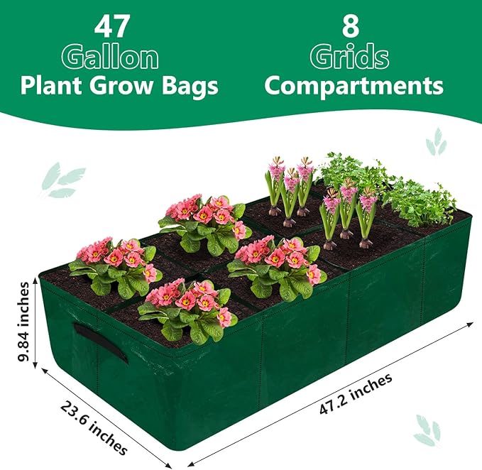 Caffox 2 Pack Fabric Raised Garden Bed 4x2x0.8ft Plant Grow Bags for Flowers and Vegetables 94 Gallon