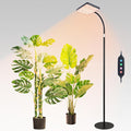 FECiDA 2026 Floor Lamp Grow Light Grow Lights with Stable Stand Base for Indoor Plants Bonsai Tree 4/8/12/16/20 Hr Timer 25 Watt Power Draw NO Need Adapter 40-76 Height Adjustable