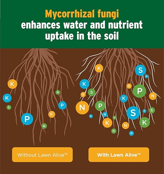 The Andersons Lawn Alive 15-0-0 Fertilizer and Soil Treatment with Endomycorrhizae Fungi - 128 fl oz